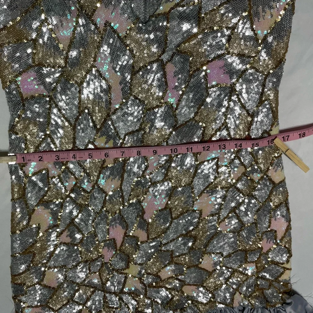 Silver and Gold Sequin Dress with Ruffle Hem - Picture 11 of 16